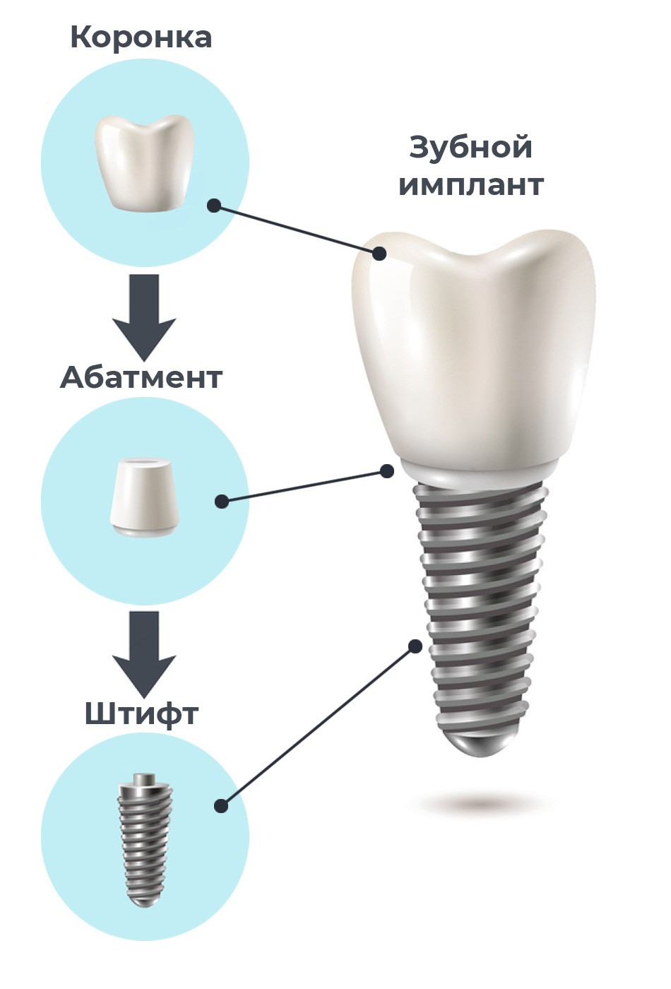 dental_8
